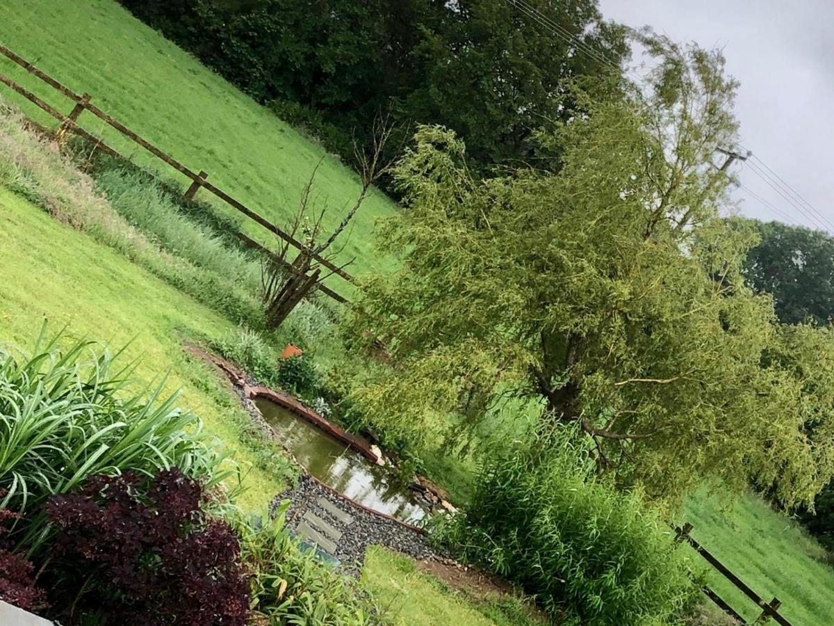 Tobernaglough Wexford Pet Friendly Country B&B Ramsgrange Exterior foto