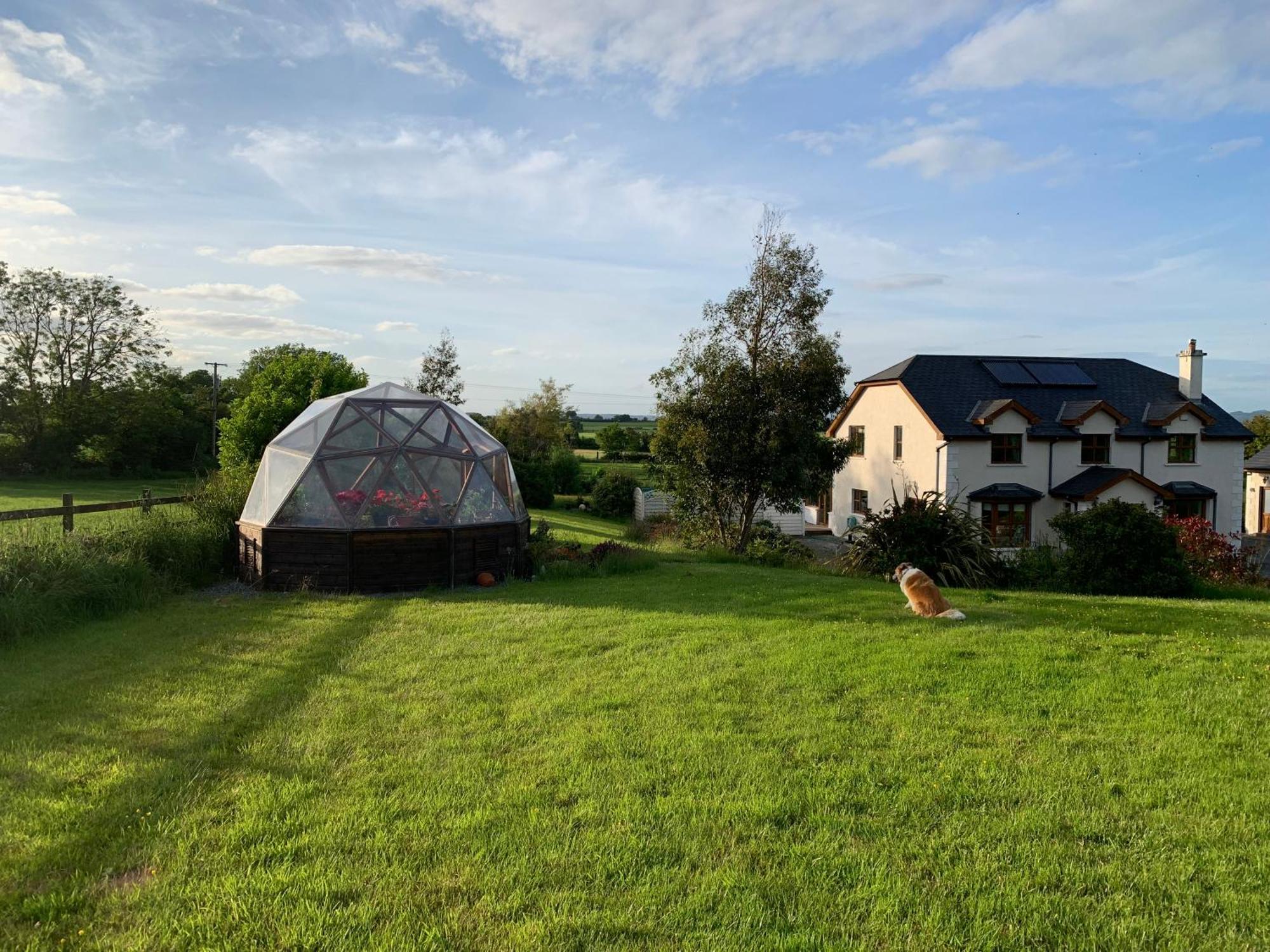 Tobernaglough Wexford Pet Friendly Country B&B Ramsgrange Exterior foto