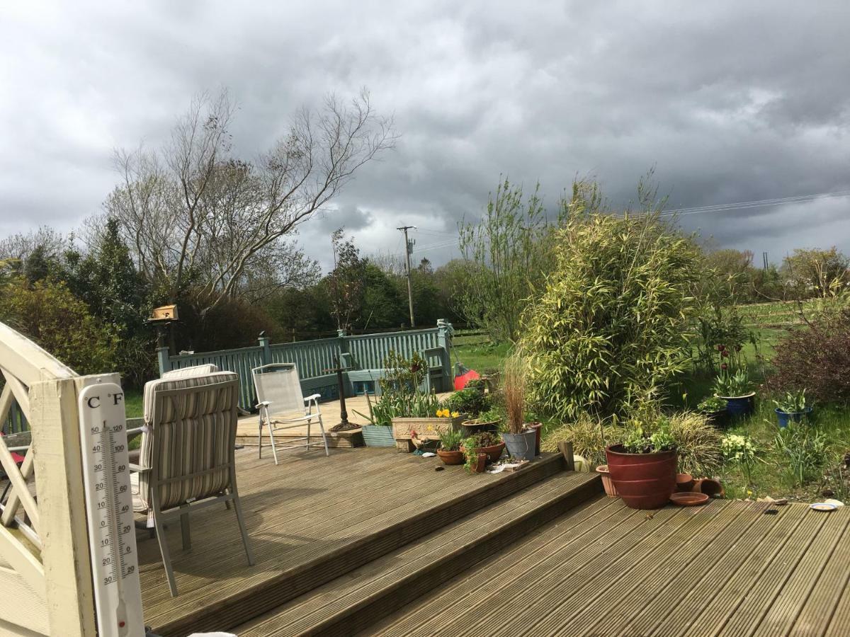 Tobernaglough Wexford Pet Friendly Country B&B Ramsgrange Exterior foto