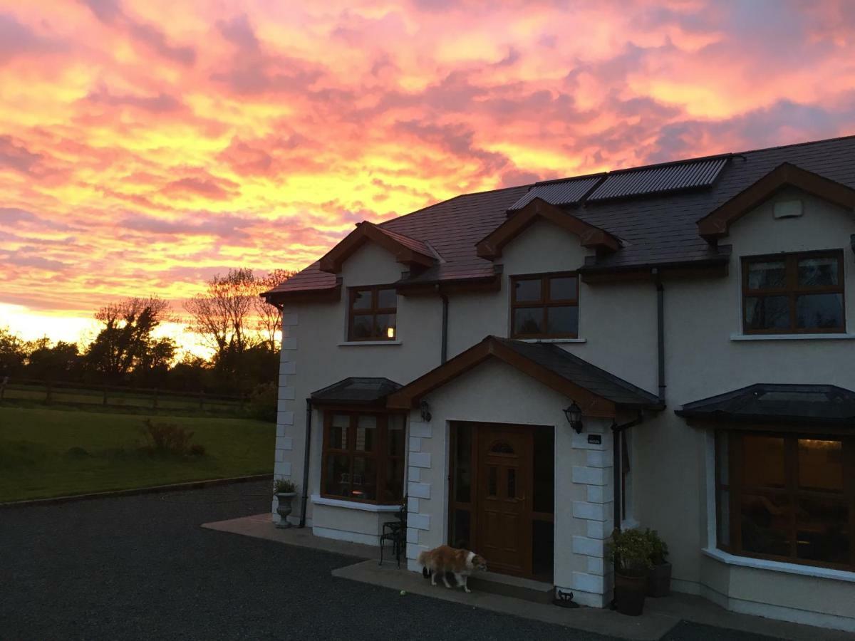 Tobernaglough Wexford Pet Friendly Country B&B Ramsgrange Exterior foto