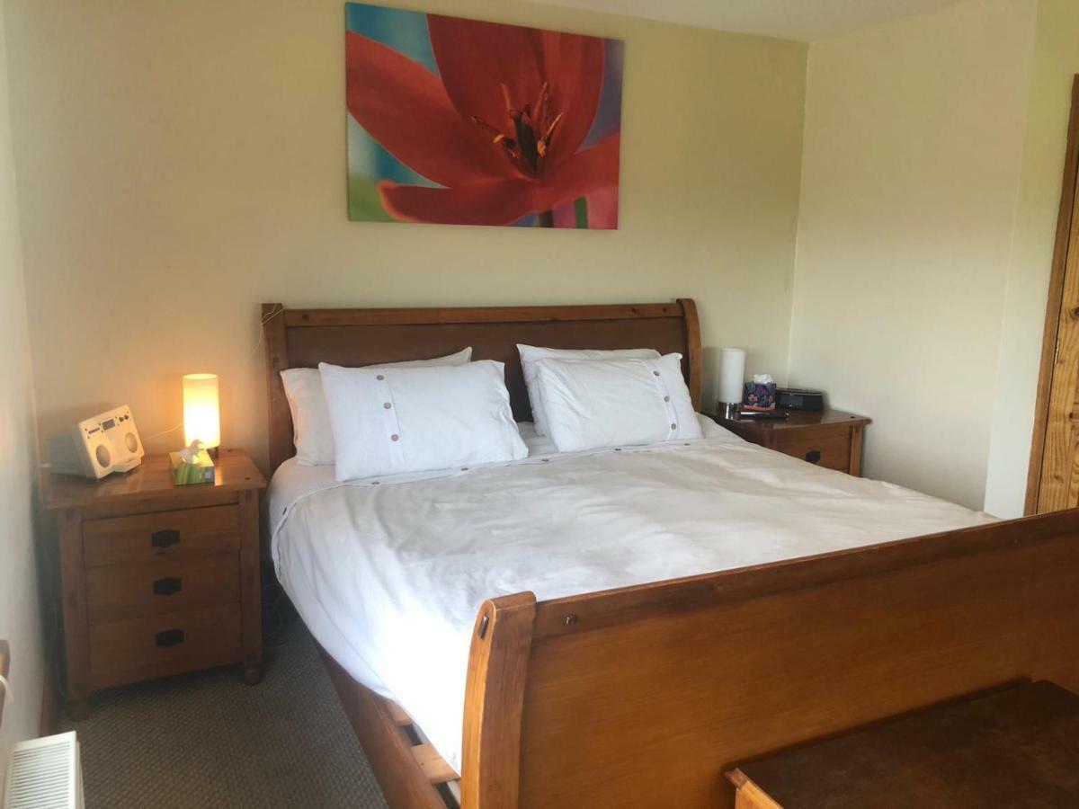 Tobernaglough Wexford Pet Friendly Country B&B Ramsgrange Exterior foto