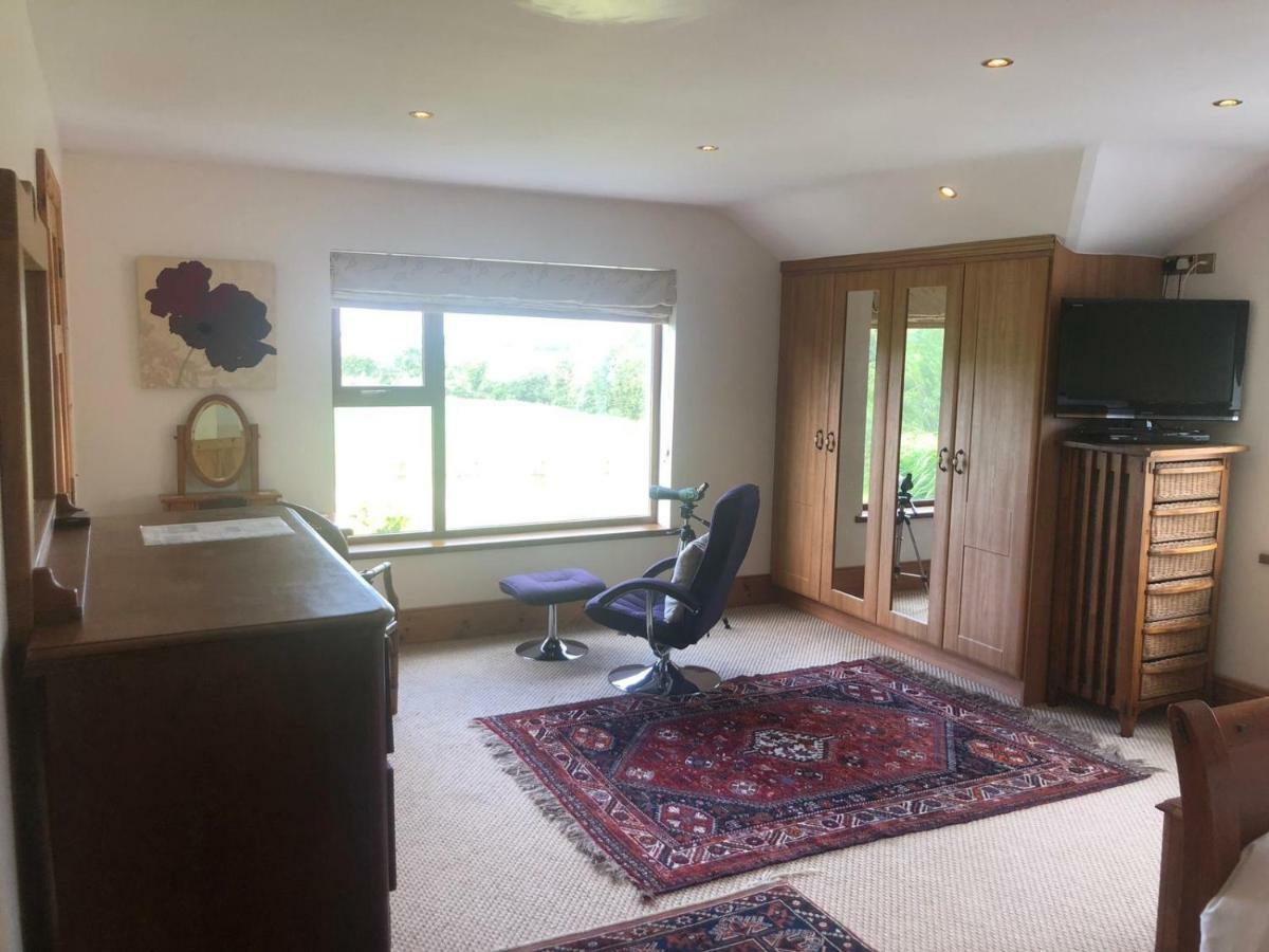 Tobernaglough Wexford Pet Friendly Country B&B Ramsgrange Exterior foto